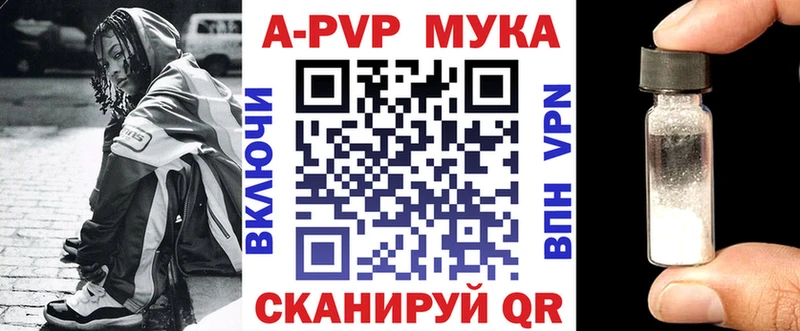 APVP СК Пошехонье