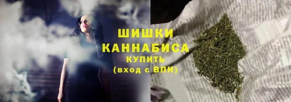 соль ск Арсеньев