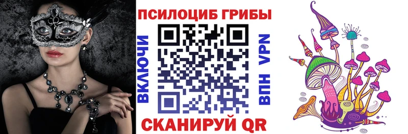 площадка клад  МЕГА рабочий сайт  Пошехонье  наркотики  Галлюциногенные грибы MAGIC MUSHROOMS 