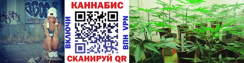 Марихуана тримм Пошехонье